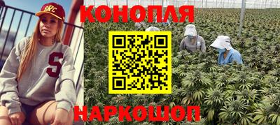 прущая мука Краснознаменск