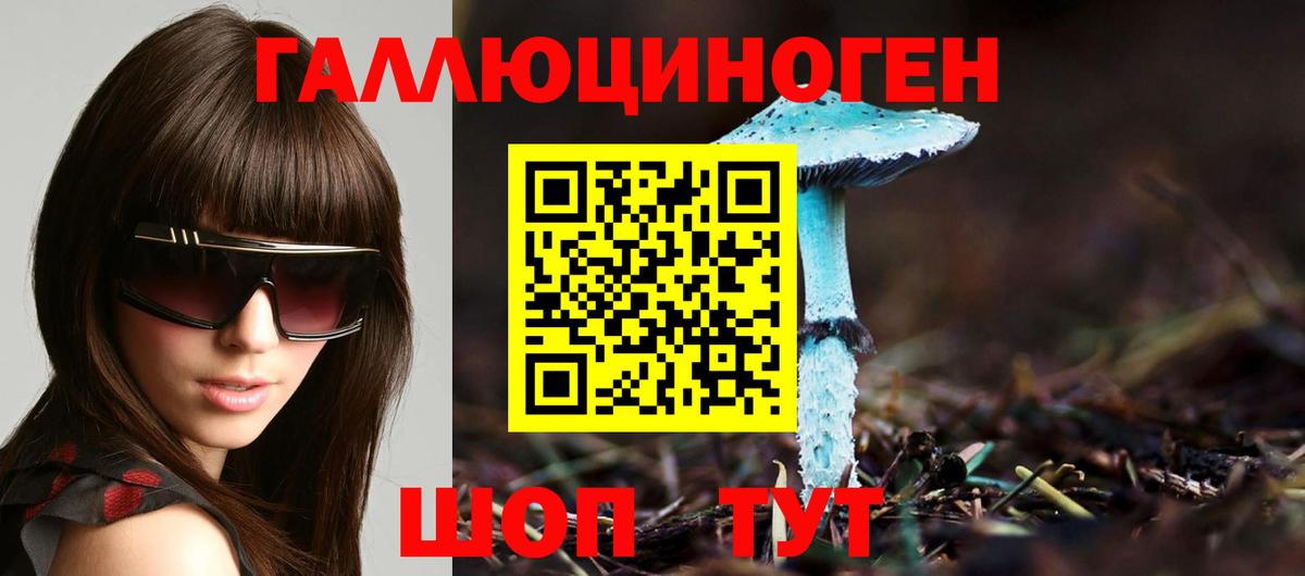 Королёв  Псилоцибиновые грибы мухоморы  где найти наркотики  Вход с VPN  Галлюциногенные грибы мицелий 